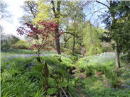 A beautiful glade of spring blossoming into summer in the Dorfold Hall garden.